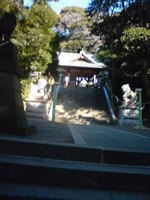 20090101 HappyNewYear3.jpg