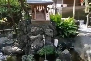 千葉神社 延寿の井