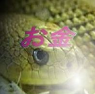 白蛇 金運