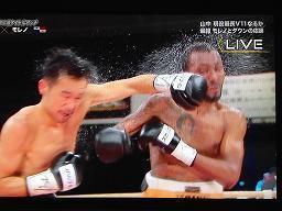 yamanaka.jpeg